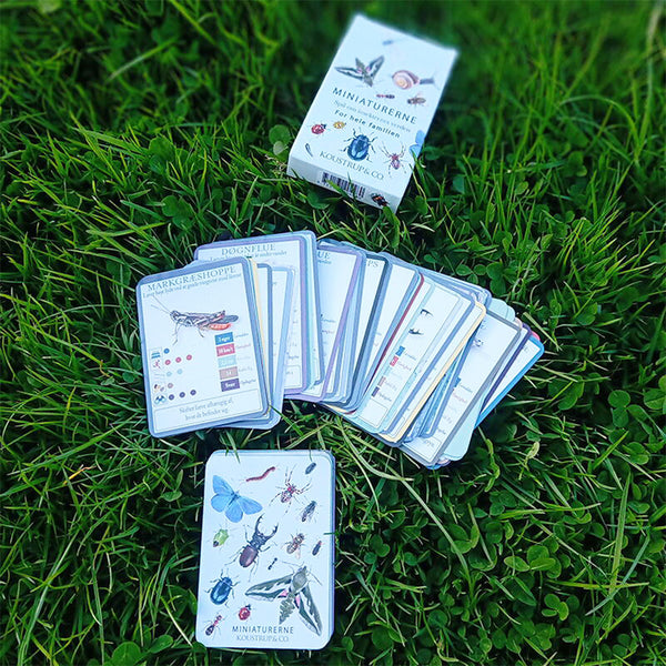 Spillekort - Koustrup & Co. - Kortspil for hele familien om insekternes verden