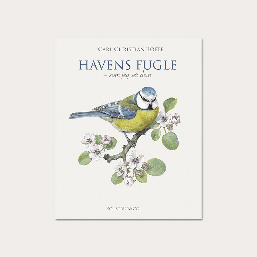 Havens fugle - Koustrup & Co. - bog om havens fuglearter