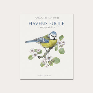 Havens fugle - Koustrup & Co. - bog om havens fuglearter