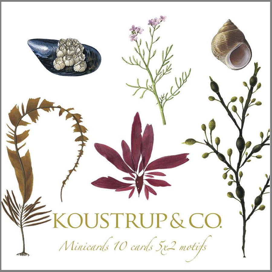 Kort - Koustrup & Co. - Forskellige naturmotiver
