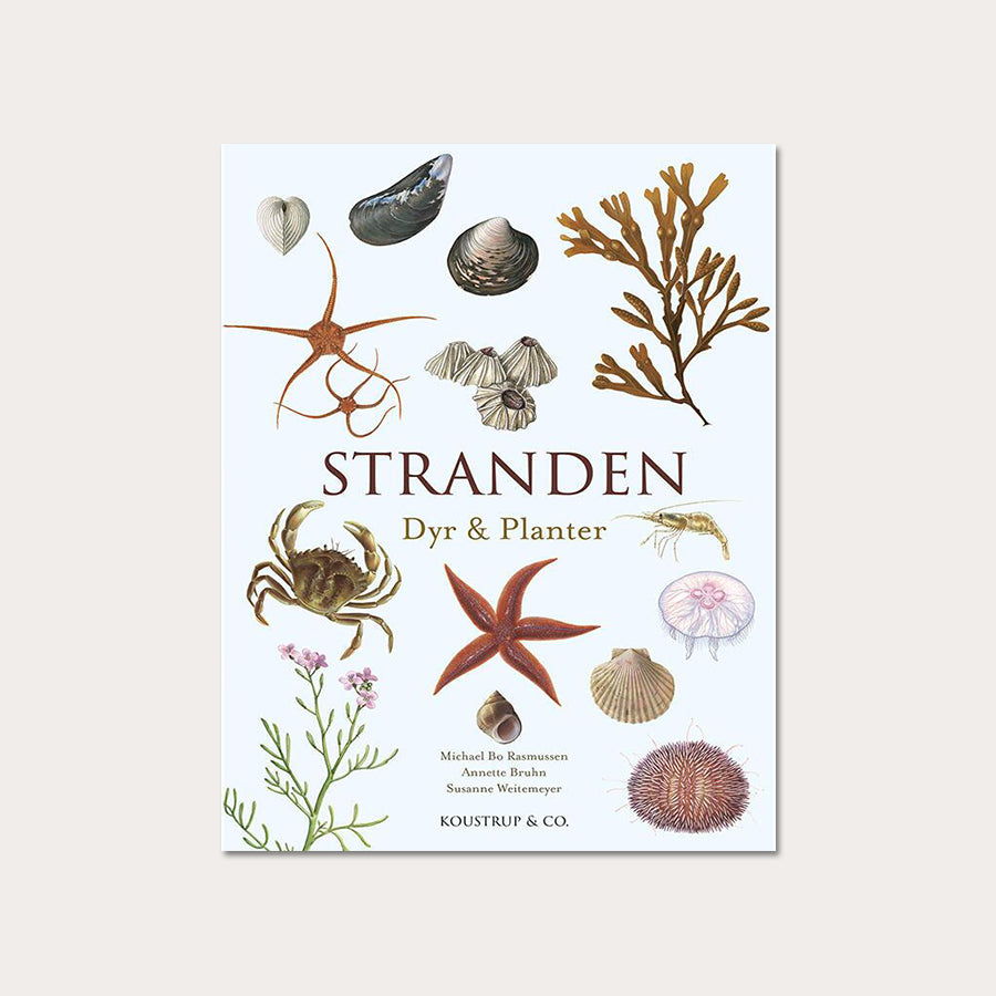 Stranden - Koustrup & Co. - bog om strandens Dyr & Planter