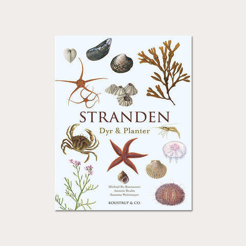 Stranden - Koustrup & Co. - bog om strandens Dyr & Planter