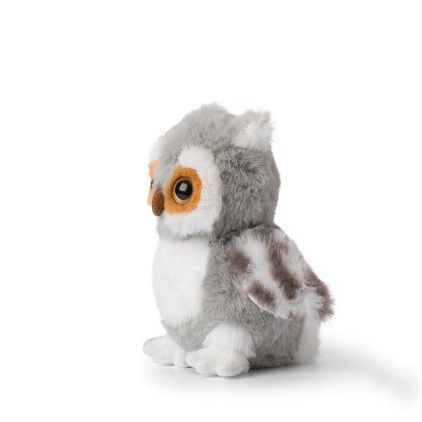 WWF ECO Grey owl - ugle